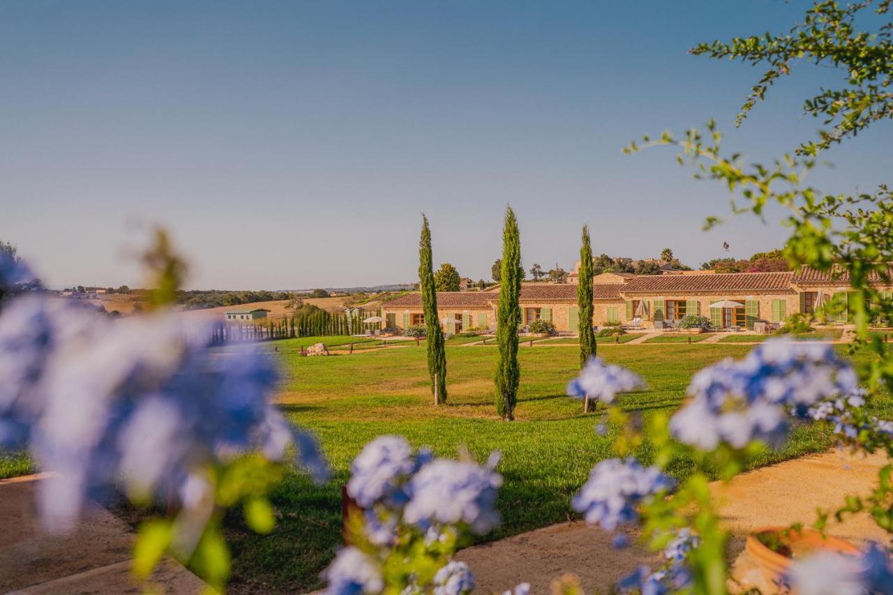 Hotel Sa Franquesa Nova Thị trấn Thị trấn Vilafranca de Bonany Ngoại thất bức ảnh