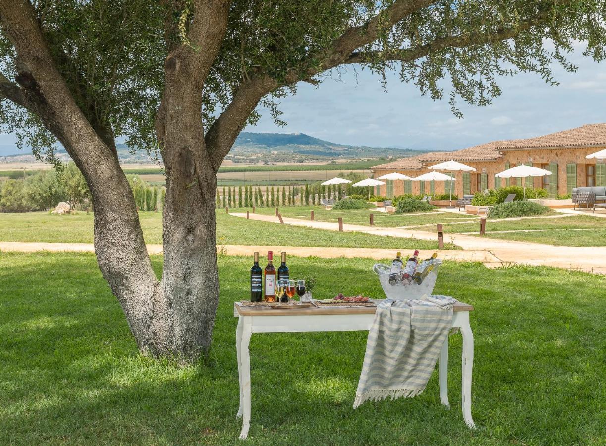 Hotel Sa Franquesa Nova Thị trấn Thị trấn Vilafranca de Bonany Ngoại thất bức ảnh